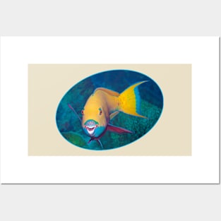 Parrotfish | Am I beautiful? | Posters and Art